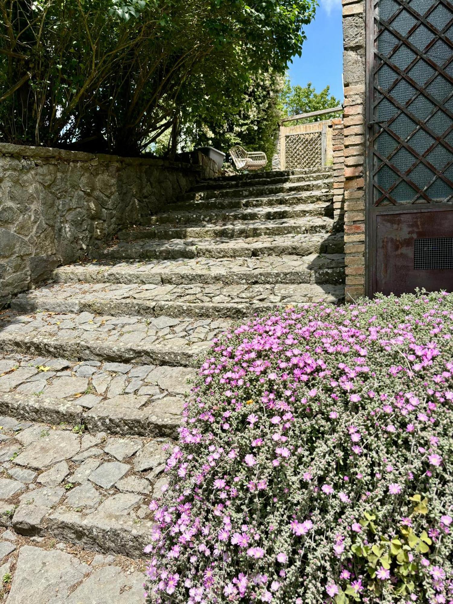 Bed and Breakfast Collina Blu Больсена Екстер'єр фото