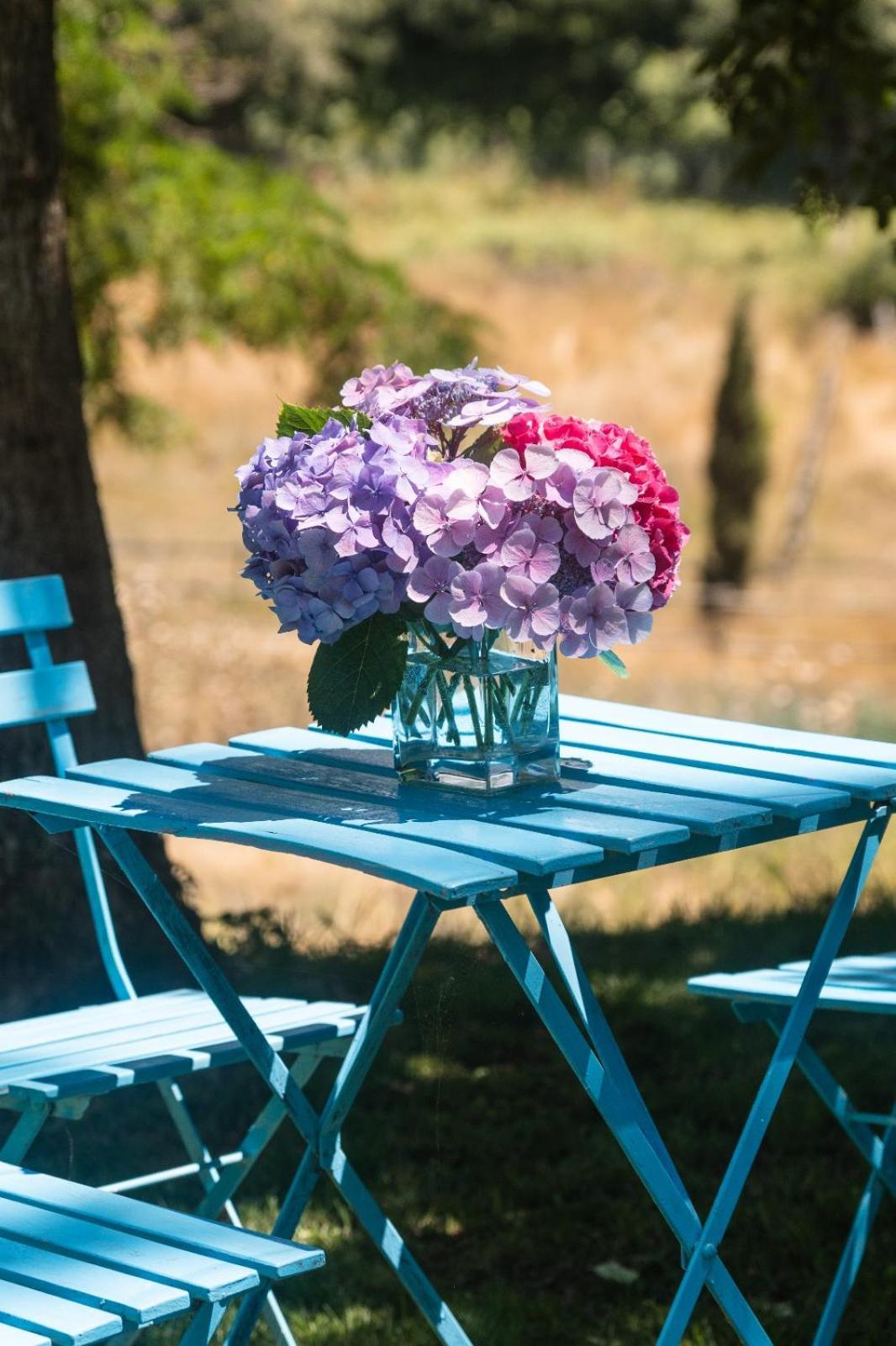 Bed and Breakfast Collina Blu Больсена Екстер'єр фото