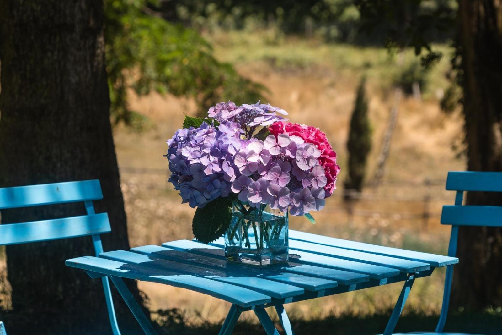 Bed and Breakfast Collina Blu Больсена Екстер'єр фото